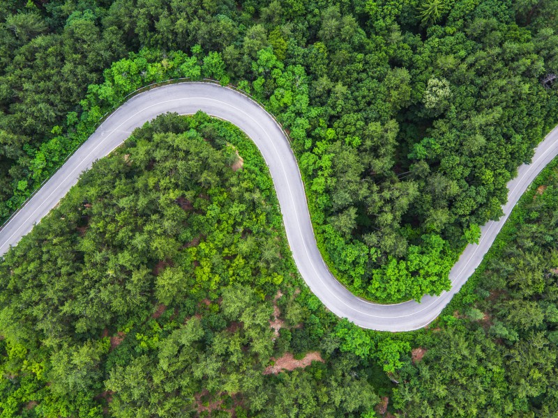 道路两旁的风景图片(15张)