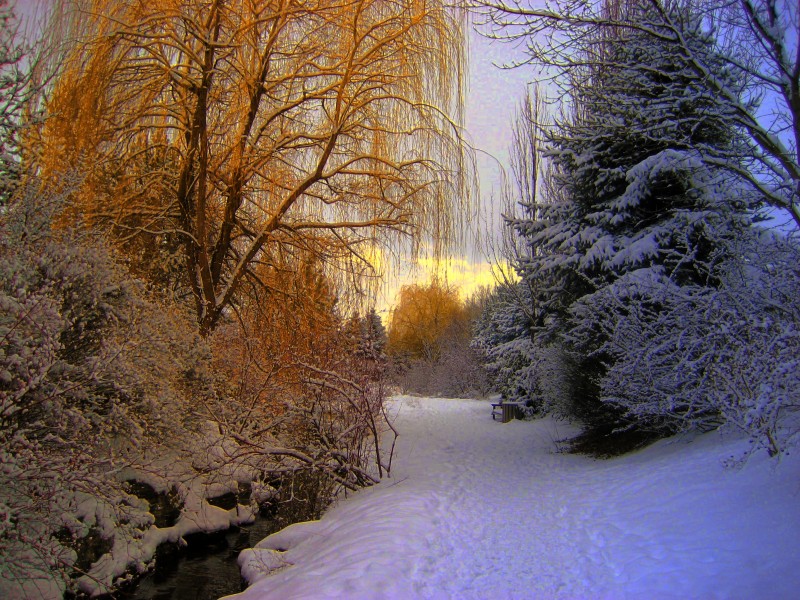 冬季风景图片(31张)