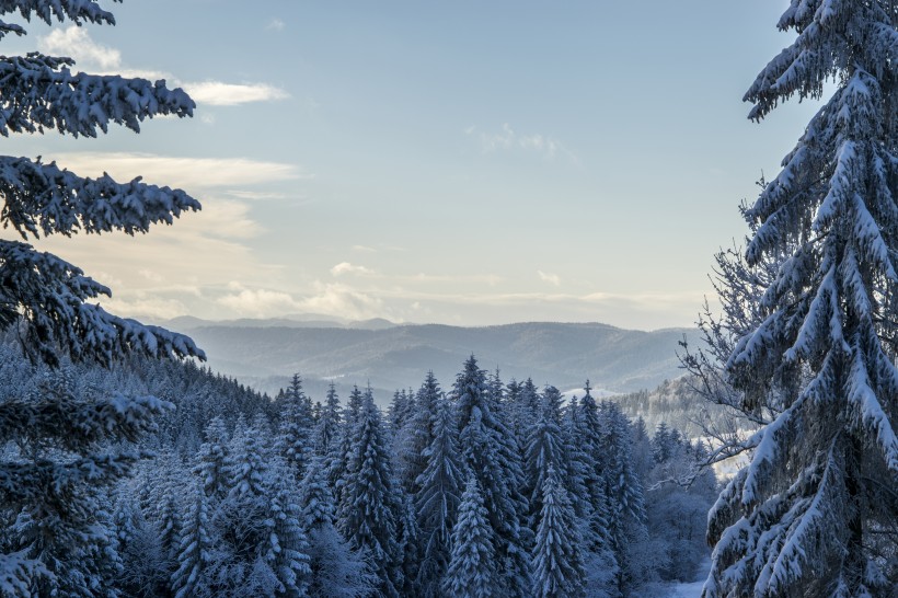 冬季风景图片(31张)