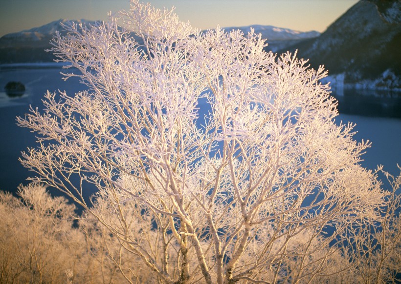 冬季风景图片(20张)