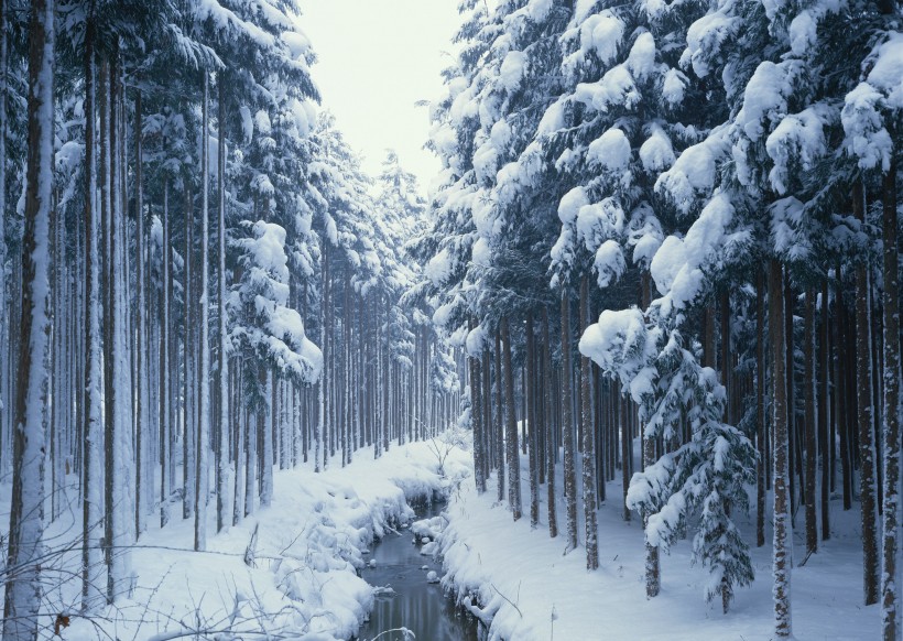 冬季风景图片(20张)