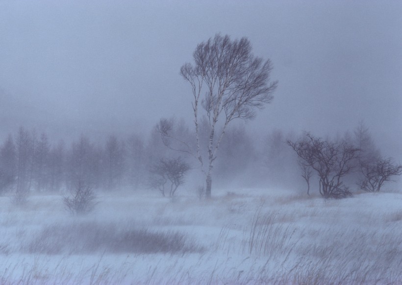 冬季树木河流风景图片(24张)