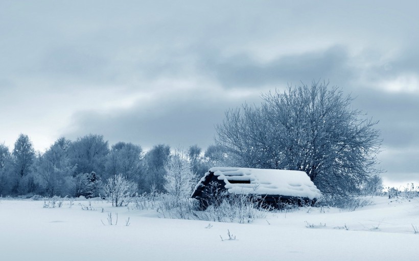 冬季秀丽雪景图片(8张)