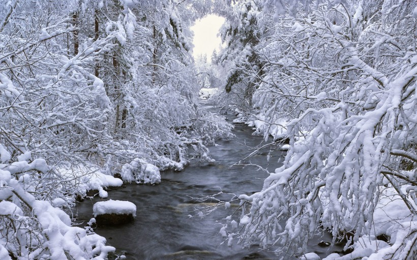冬季大雪覆盖的风景图片(12张)