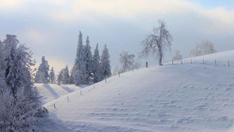 冬日雪景图片(15张)