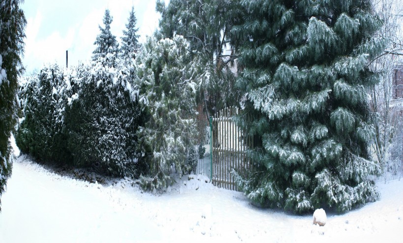 冬日雪景图片(23张)