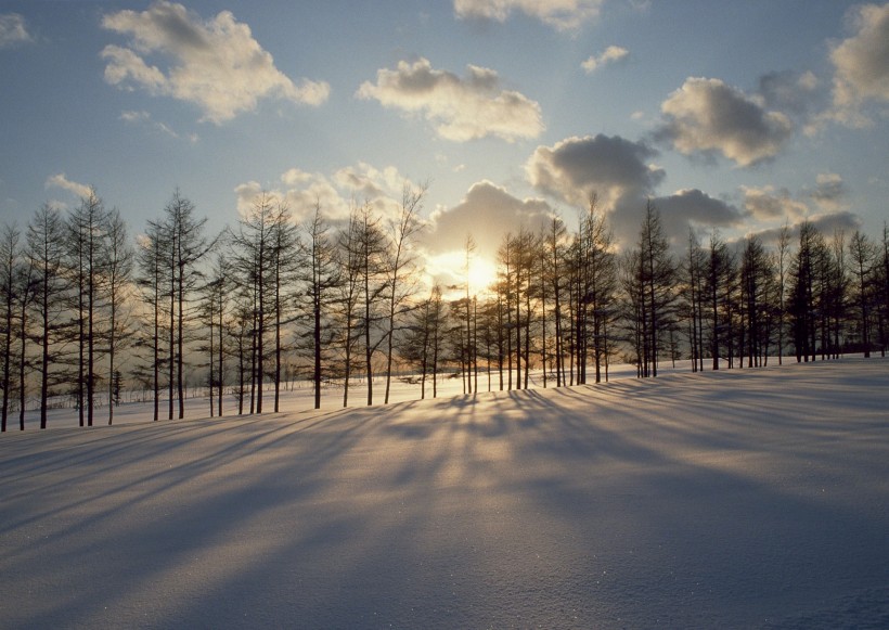 冬日雪景图片(23张)