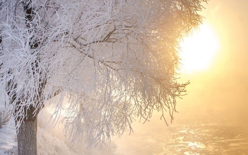 冬天唯美雪景图片(8张)