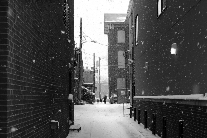 冬天下雪时的美景图片(12张)
