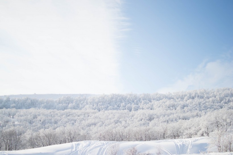 冬天的雪景图片(10张)