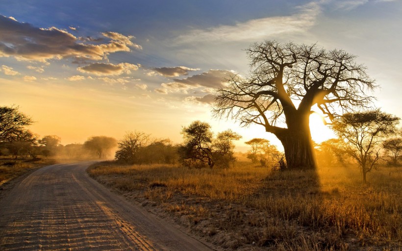非洲自然景色图片(9张)