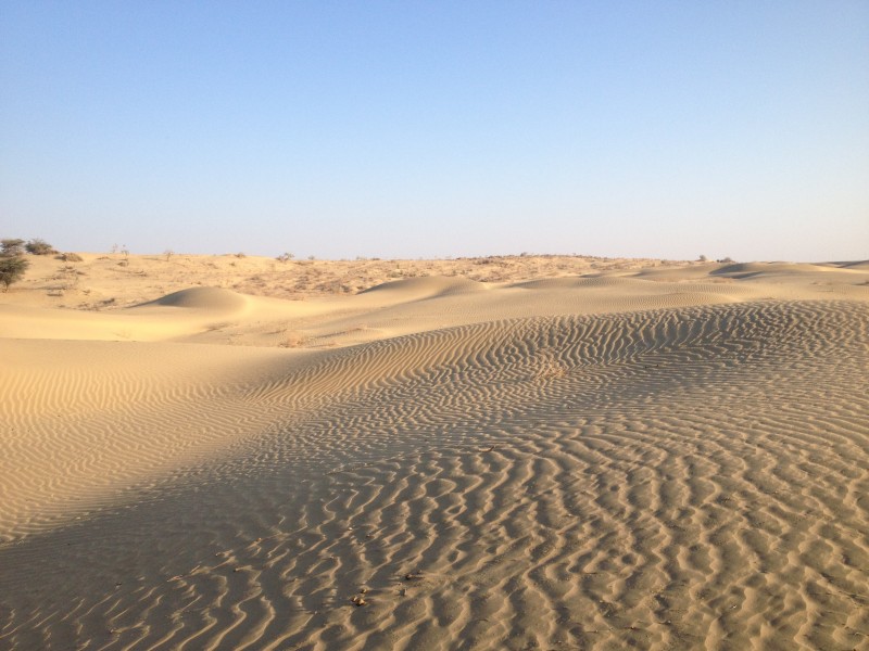 干旱的沙漠图片(15张)