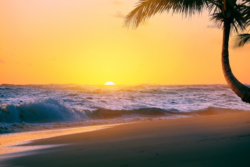 海滩椰树风景图片(15张)