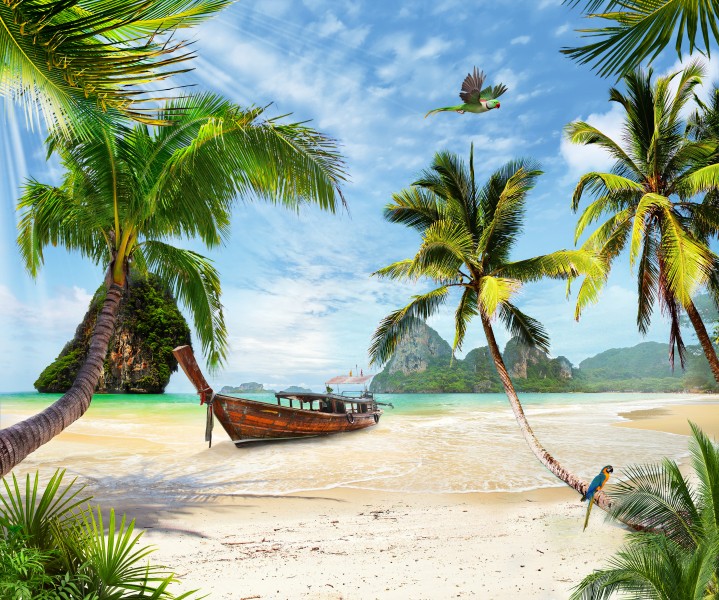 海滩椰子树图片(9张)