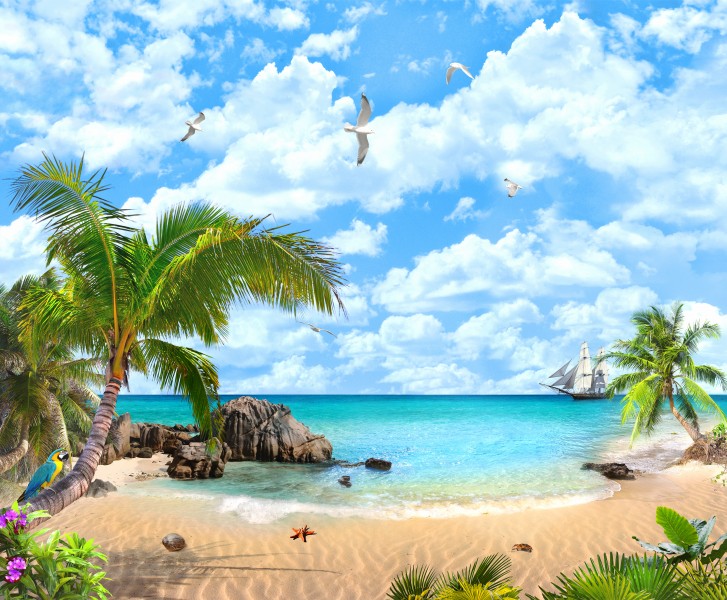 海滩椰子树图片(9张)