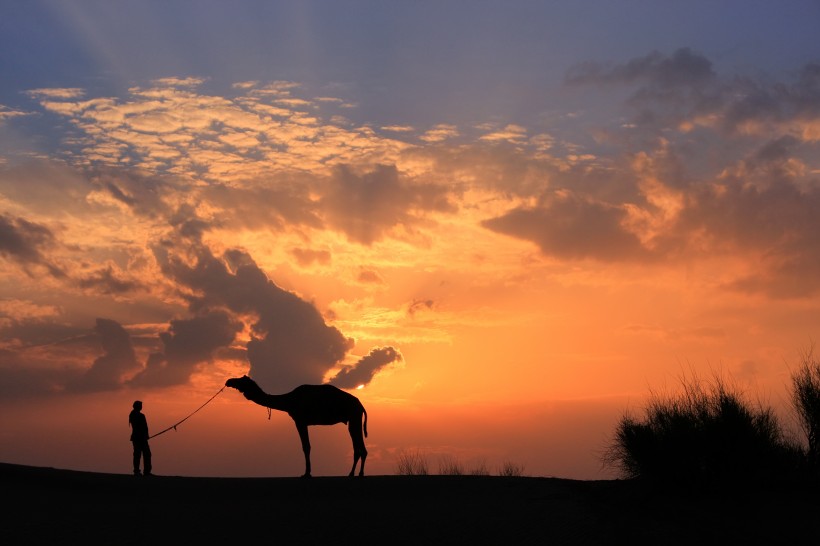 荒漠骆驼人物行走图片(10张)