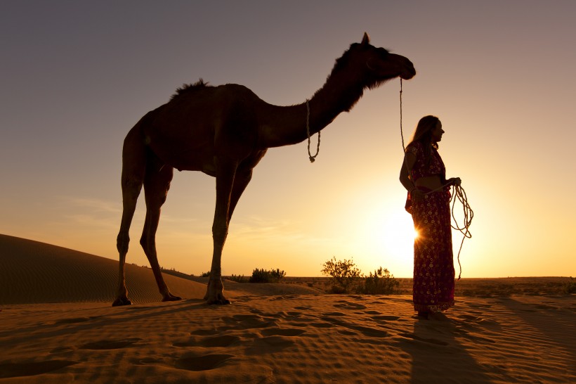 荒漠骆驼人物行走图片(10张)