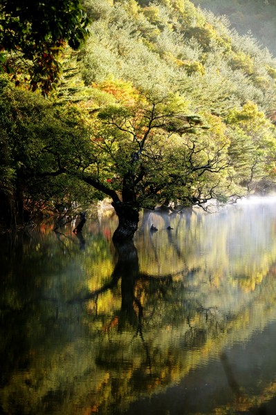 湖光山色图片(41张)