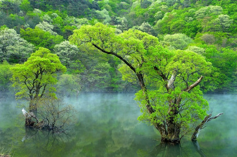 湖光山色图片(41张)