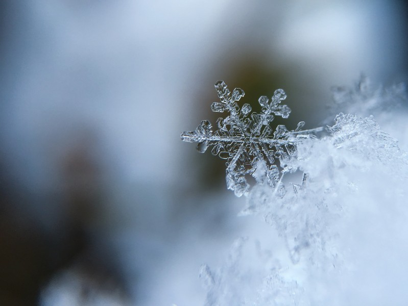 皎洁的雪花图片(12张)