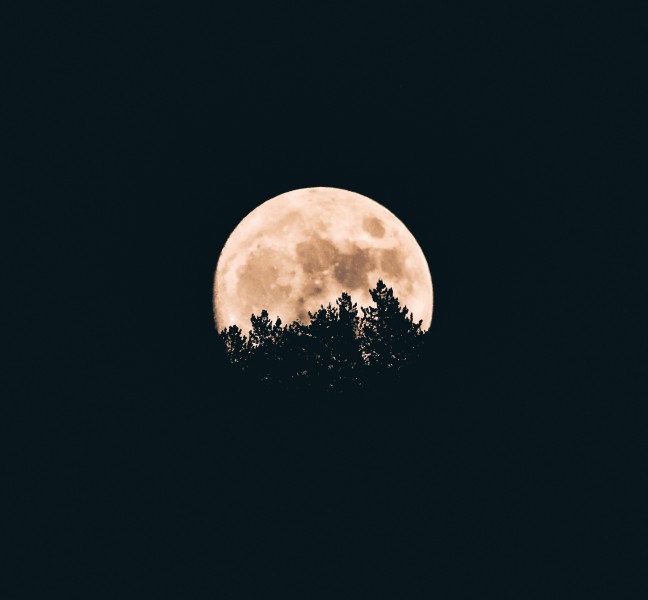 皎洁的月亮的图片(10张)