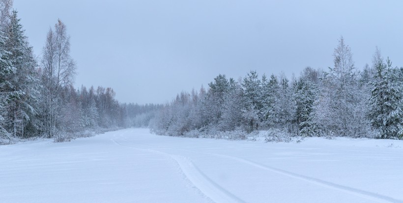 洁白无瑕的雪景图片(10张)