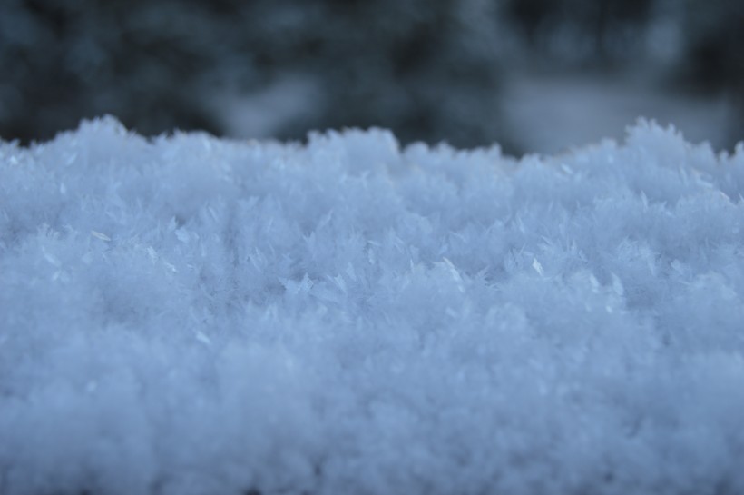 晶莹的雪花图片(16张)