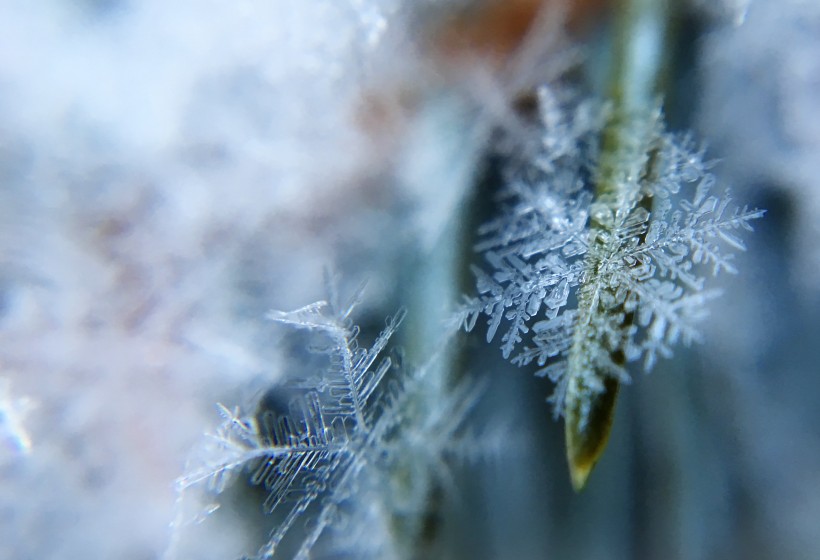 晶莹的雪花图片(16张)