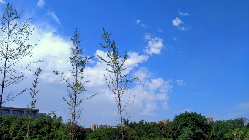 白云蓝天风景图片(14张)