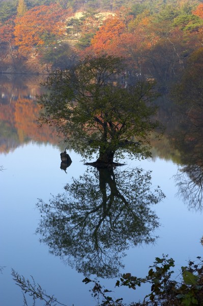 湖面倒影风景图片(24张)