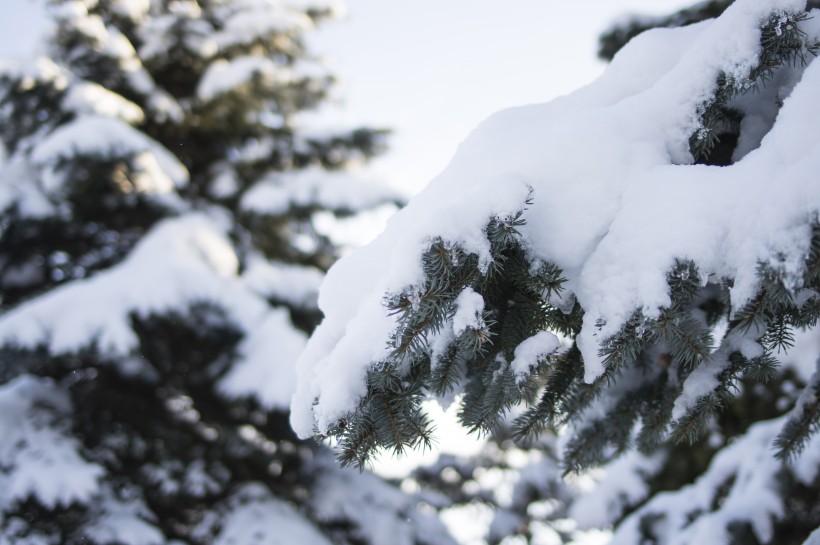 美丽的雪景图片(11张)