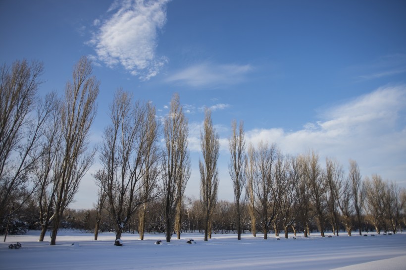 美丽的雪景图片(11张)