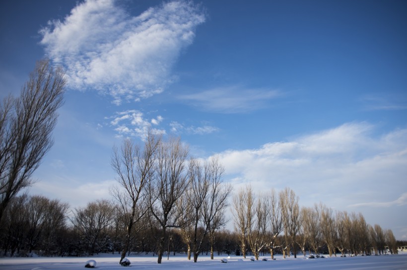 美丽的雪景图片(11张)