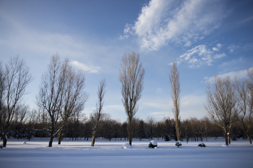 美丽的雪景图片(11张)