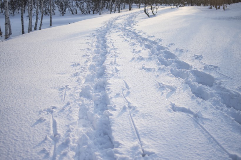 美丽的雪景图片(11张)