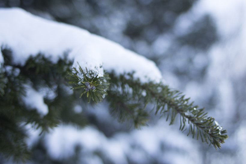 美丽的雪景图片(11张)