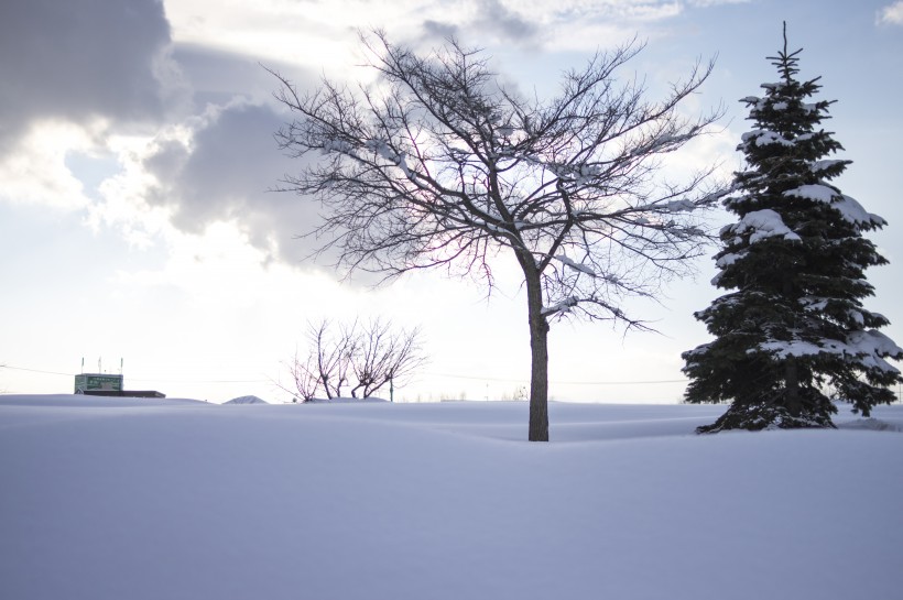 美丽的雪景图片(11张)