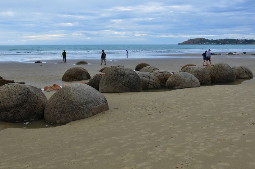 新西兰摩拉基大圆石图片(8张)