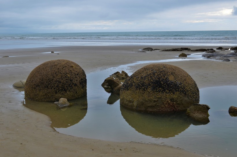 新西兰摩拉基大圆石图片(8张)