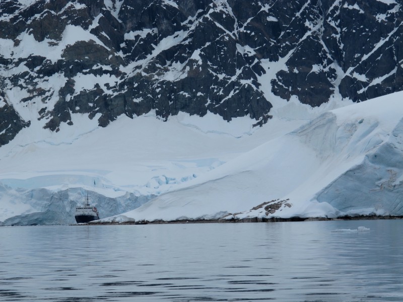 南极洲自然生态图片(22张)