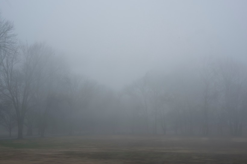 浓雾弥漫的景色图片(12张)