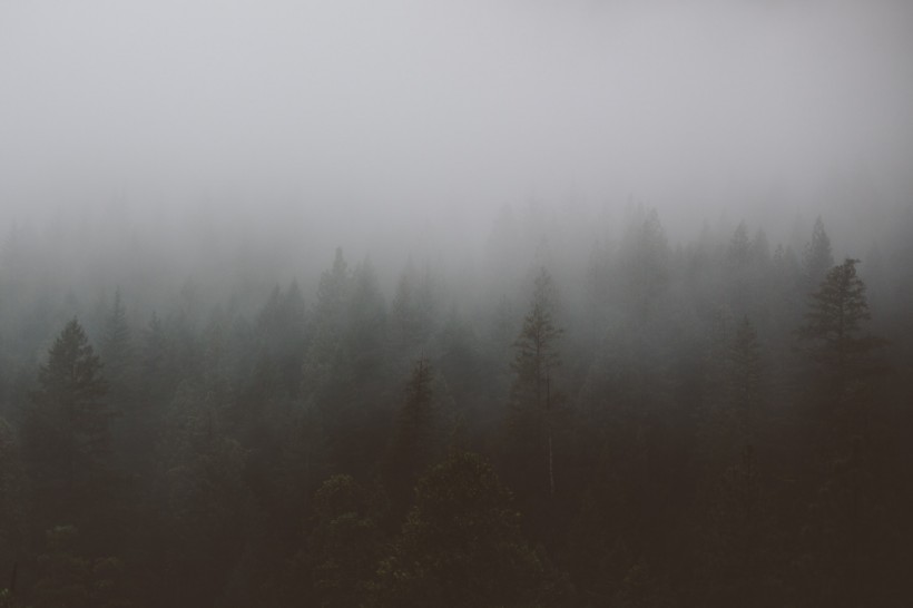 浓雾弥漫的景色图片(12张)