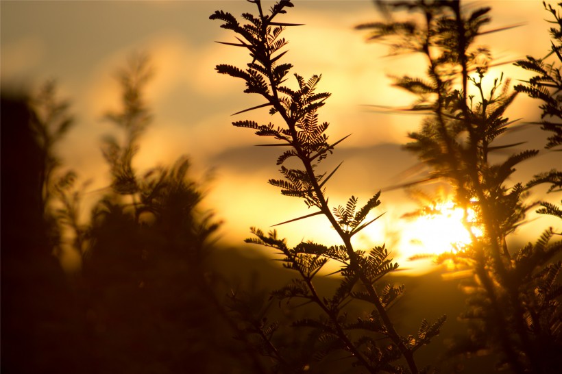 美如画的朝阳与夕阳图片(18张)