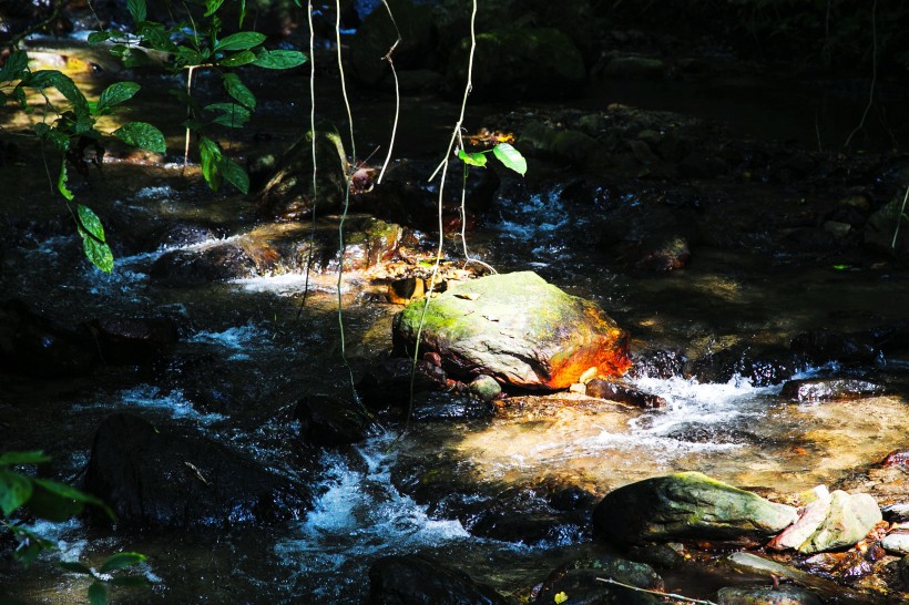 清澈的溪流图片(6张)
