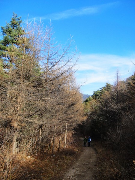 秦岭风景图片(10张)