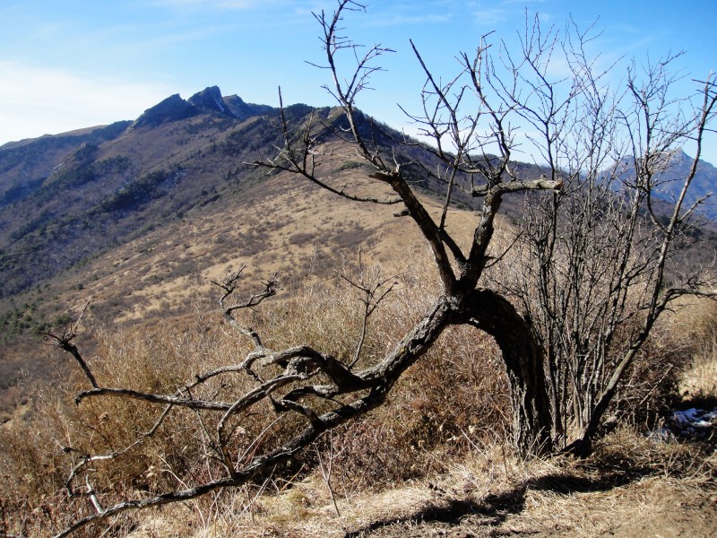 秦岭风景图片(18张)