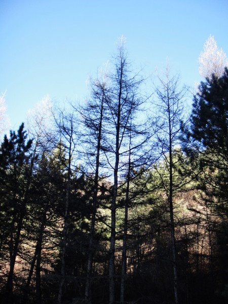 秦岭风景图片(18张)