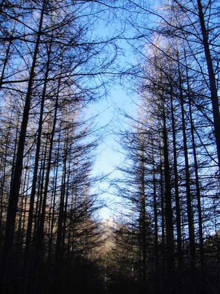 秦岭风景图片(18张)