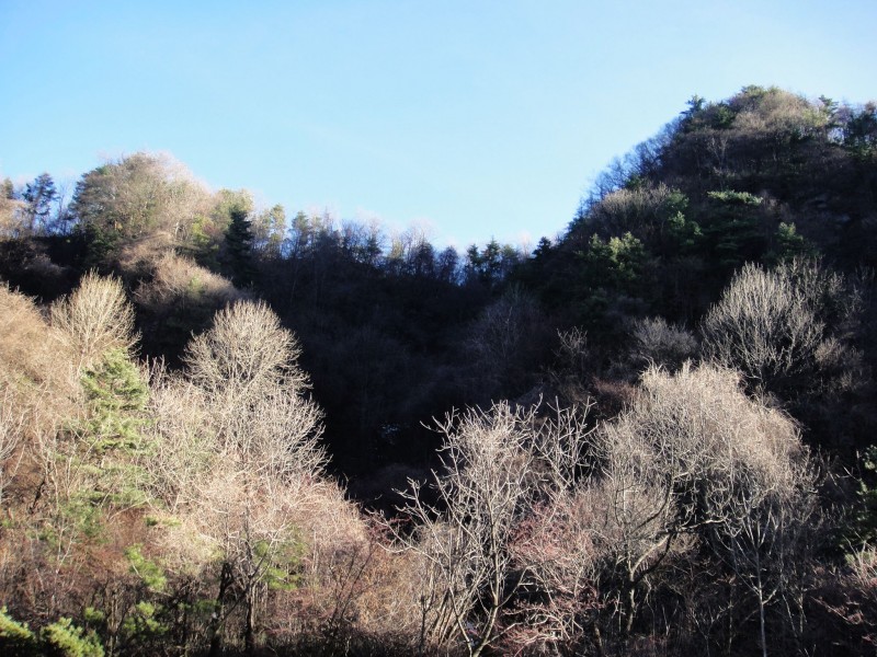 秦岭风景图片(18张)