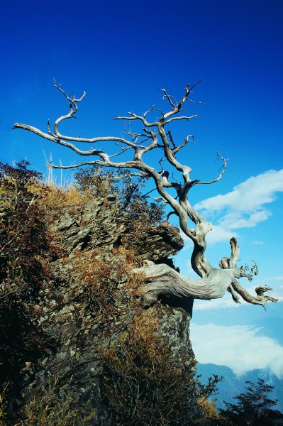 秋季风景图片(32张)